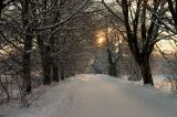 Gmina zimą - zdjęcie 16