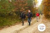 Relacja Nordic Walking IX - Gryźliny - zdjęcie 11