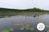 III spływ kajakowy - 24 sierpnia 2014 r. - Brzeźno Łyńśkie- Jezioro Łańskie - zdjęcie 17