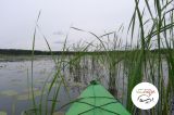 III spływ kajakowy - 24 sierpnia 2014 r. - Brzeźno Łyńśkie- Jezioro Łańskie - zdjęcie 18