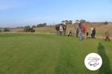 VII wycieczka z przewodnikiem - 23 listopada 2014 r. - pole golfowe - zdjęcie 29